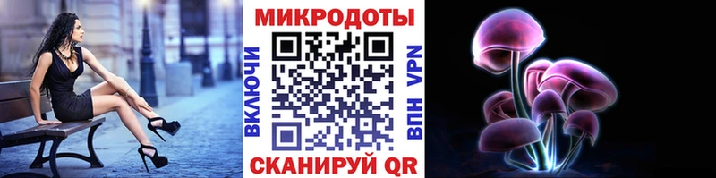 Псилоцибиновые грибы мицелий  Сенгилей 