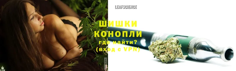 Шишки марихуана SATIVA & INDICA  Сенгилей 